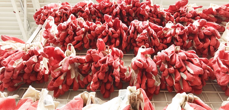 消毒效果檢測(cè)合格報(bào)告書有什么內(nèi)容?洗碗機(jī)有沒有除菌效果 