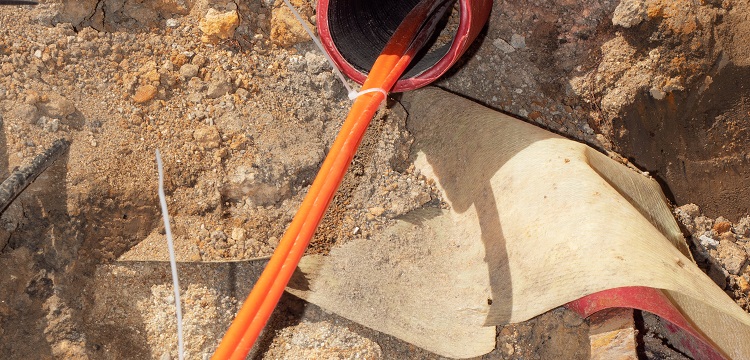 公共衛生檢測項目及標準有哪些？