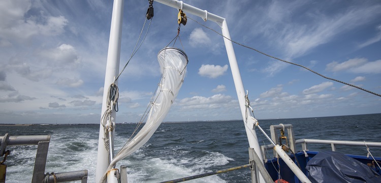 食品接觸材料檢測項目大匯總！