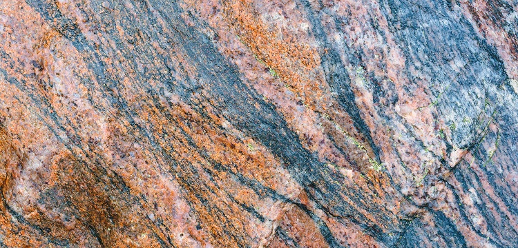 2022年廣東省最新林業碳匯申報要求匯總：方法學、申報模板、材料清單