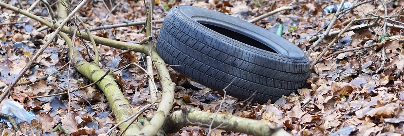 水質(zhì)檢測報告編制要點解析