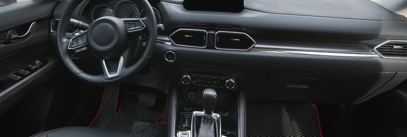 CCL4誘導小鼠肝臟纖維化模型