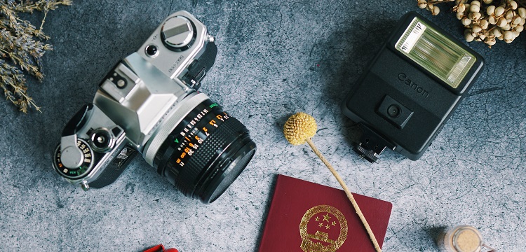 結核分枝桿菌感染恒河猴模型