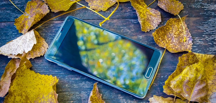 自動沸騰試驗(yàn)