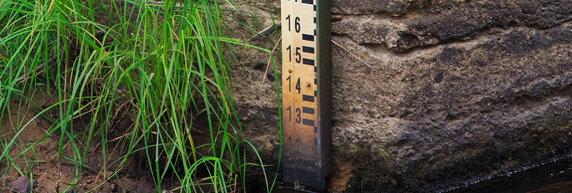 碳酸飲料檢測(cè)