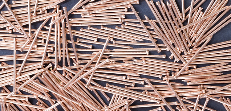 Nipsnap2轉基因心肌肥厚小鼠模型