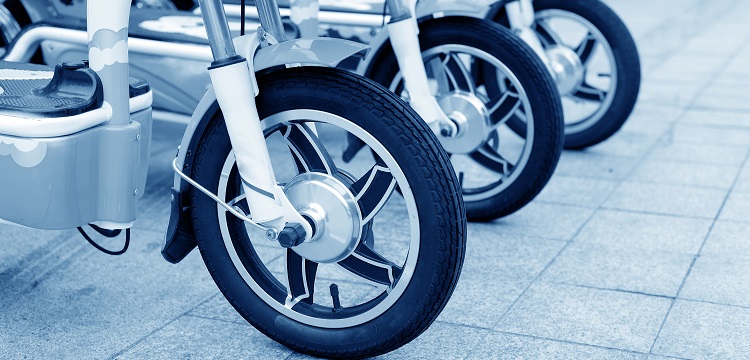 L-谷氨酸鈉誘導肥胖胰島素抵抗大鼠