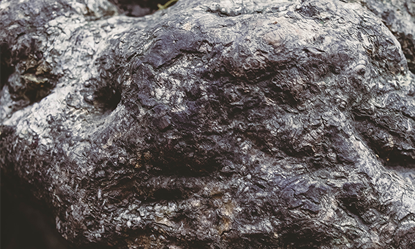 抗車(chē)轍劑檢測(cè)