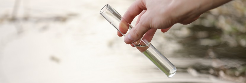 絕緣子檢測(cè)