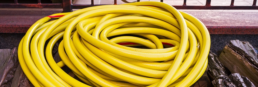 菌種生理生化檢測