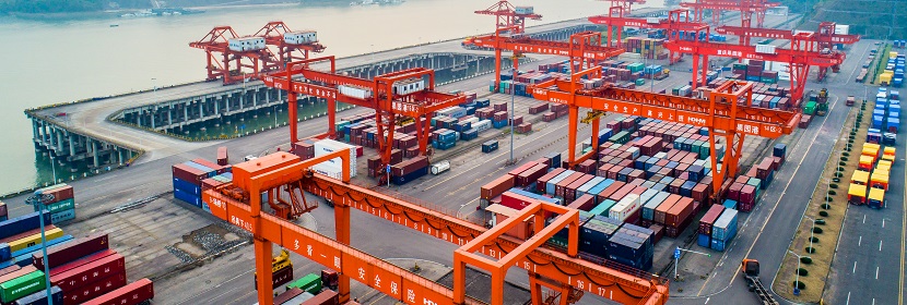 紅薯檢測,紅薯檢測機構,紅薯檢測報告