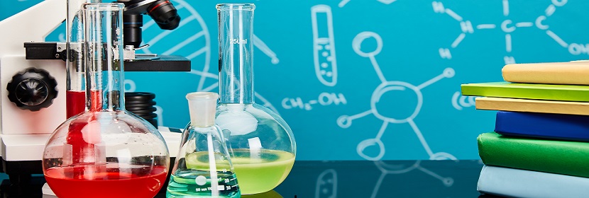 嚙齒類動物顯性致死試驗