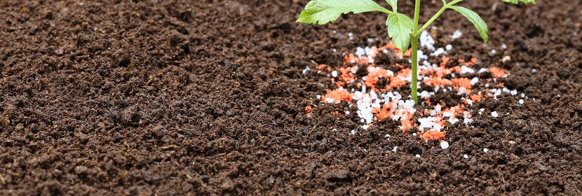 腐植酸生物有機肥檢測