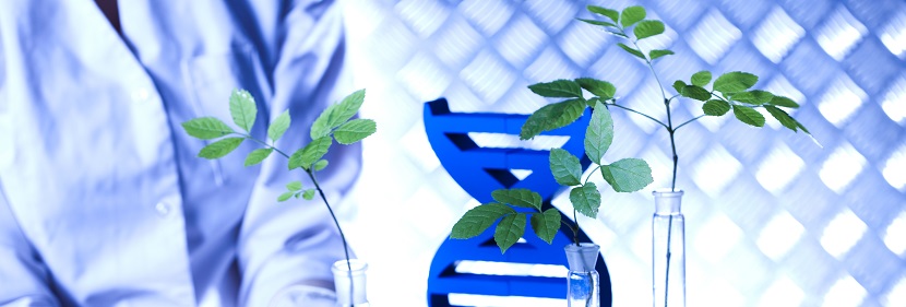 海藻酸復(fù)合肥料檢測(cè)