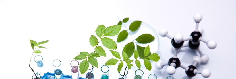 腐植酸復(fù)合肥料檢測(cè)