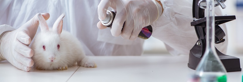 毒理學(xué)急性吸入毒性試驗(yàn)