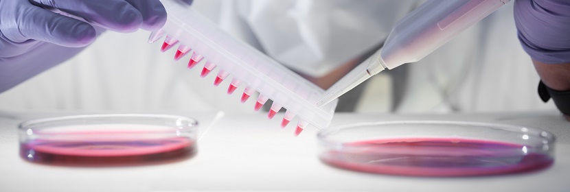 一次性使用衛生用品陰道黏膜刺激試驗