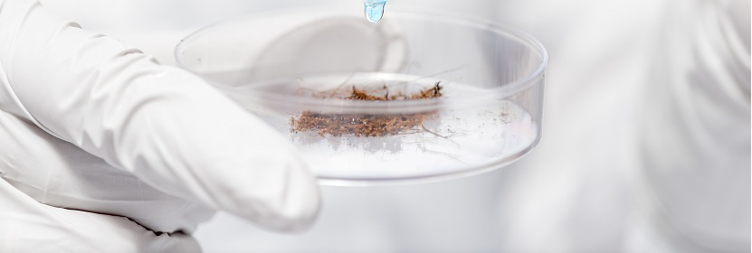 納米復合材料檢測