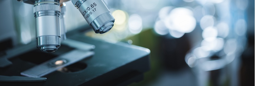 食品包裝用紙與塑料復合膜、袋檢測