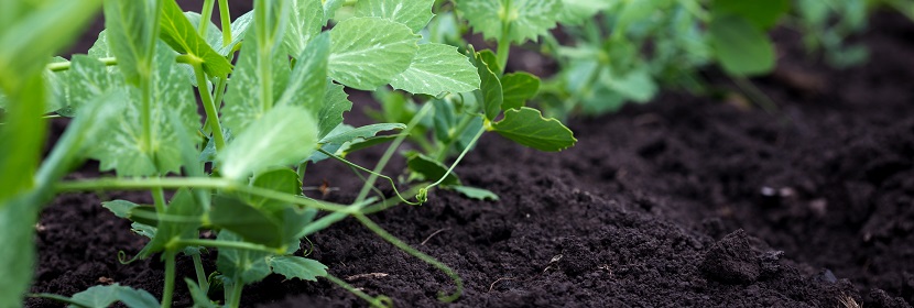 土壤修復(fù)用過氧化氫檢測(cè)